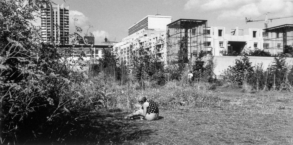 jardins_08