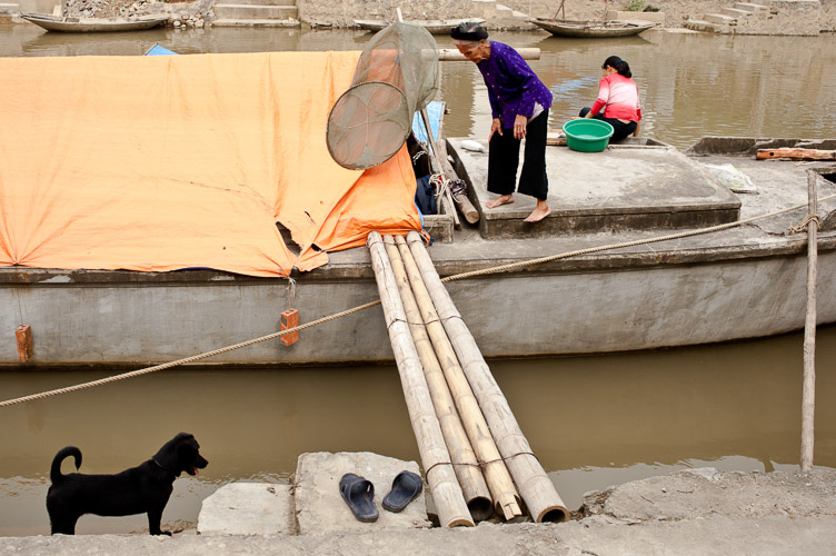 Ninh Binh, 2010