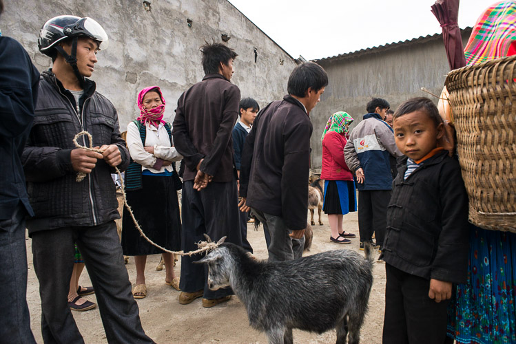 Meo Vac Vietnam